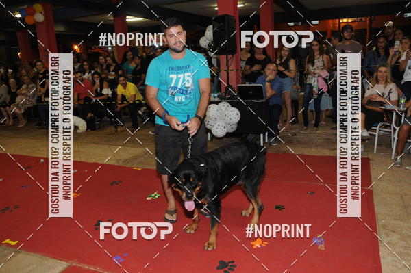 Buy your photos of the eventCo Curso Desfile de Ces on Fotop