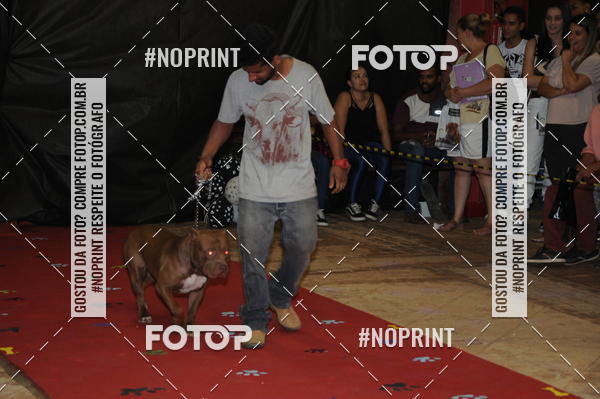 Buy your photos of the eventCo Curso Desfile de Ces on Fotop