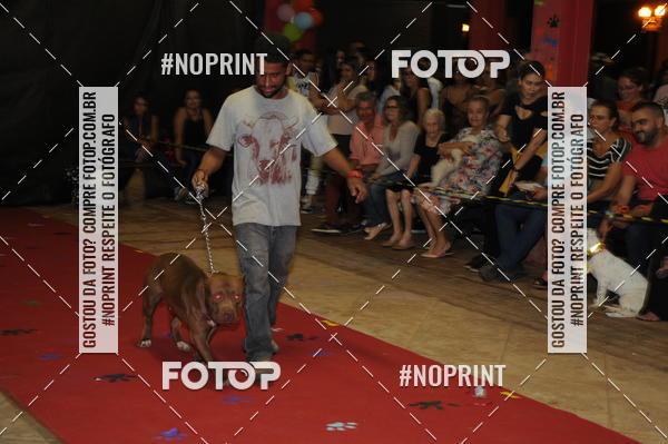 Buy your photos of the eventCo Curso Desfile de Ces on Fotop