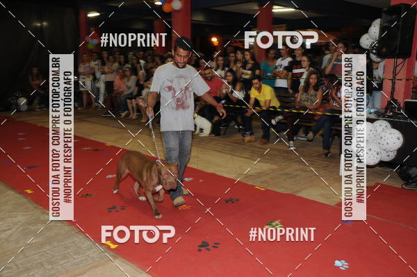 Buy your photos of the eventCo Curso Desfile de Ces on Fotop