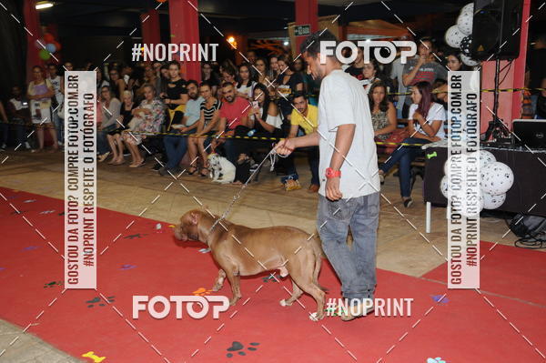 Buy your photos of the eventCo Curso Desfile de Ces on Fotop