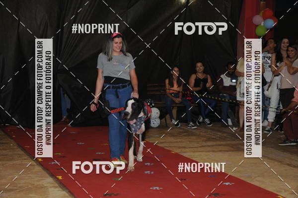 Buy your photos of the eventCo Curso Desfile de Ces on Fotop