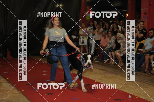 Buy your photos of the eventCo Curso Desfile de Ces on Fotop