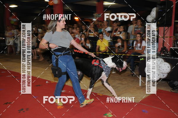 Buy your photos of the eventCo Curso Desfile de Ces on Fotop