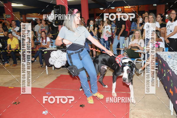 Buy your photos of the eventCo Curso Desfile de Ces on Fotop