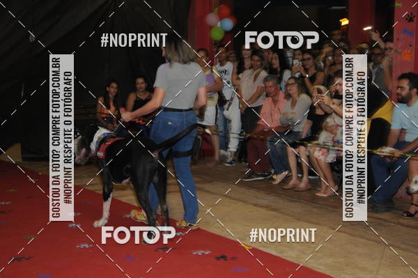 Buy your photos of the eventCo Curso Desfile de Ces on Fotop