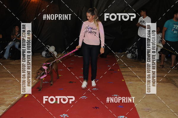 Buy your photos of the eventCo Curso Desfile de Ces on Fotop