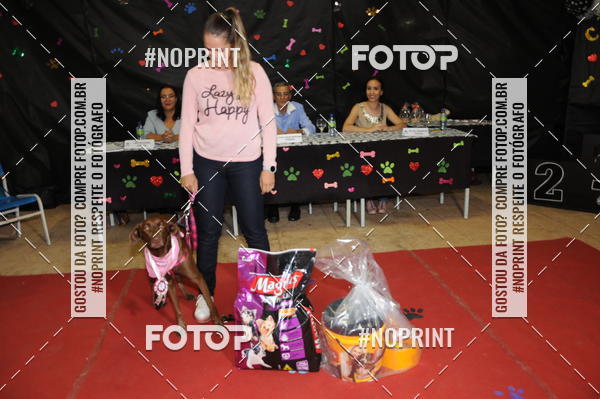 Buy your photos of the eventCo Curso Desfile de Ces on Fotop