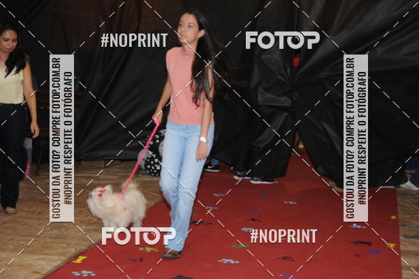 Buy your photos of the eventCo Curso Desfile de Ces on Fotop