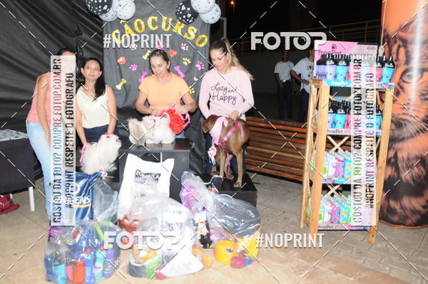 Buy your photos of the eventCo Curso Desfile de Ces on Fotop