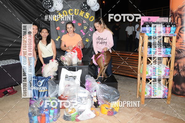 Buy your photos of the eventCo Curso Desfile de Ces on Fotop