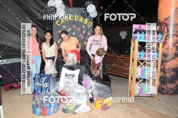 Buy your photos of the eventCo Curso Desfile de Ces on Fotop
