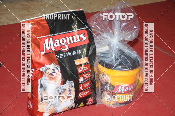 Buy your photos of the eventCo Curso Desfile de Ces on Fotop