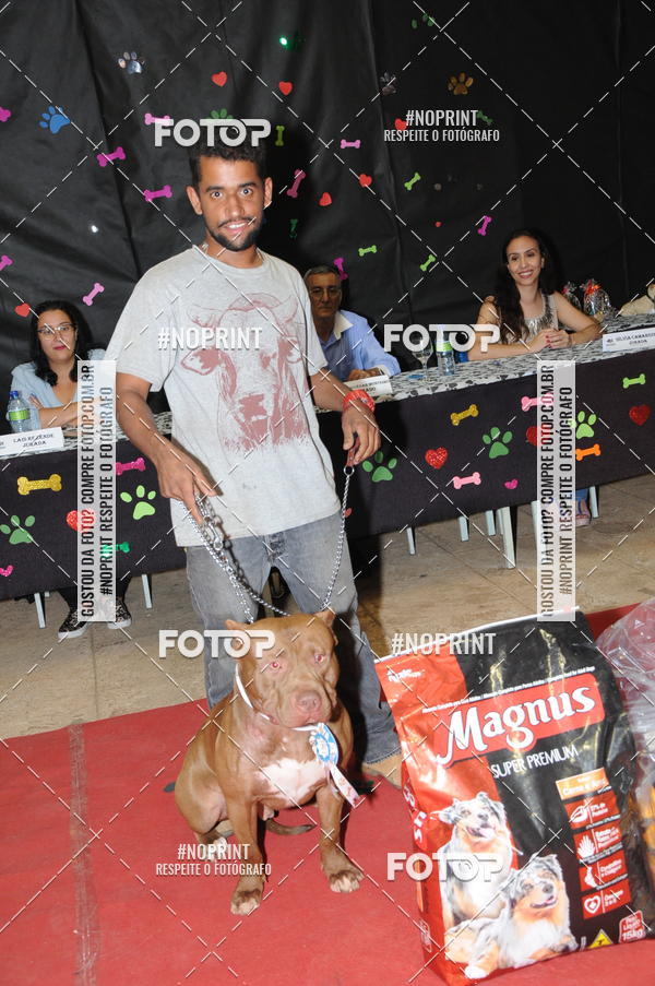 Buy your photos of the eventCo Curso Desfile de Ces on Fotop