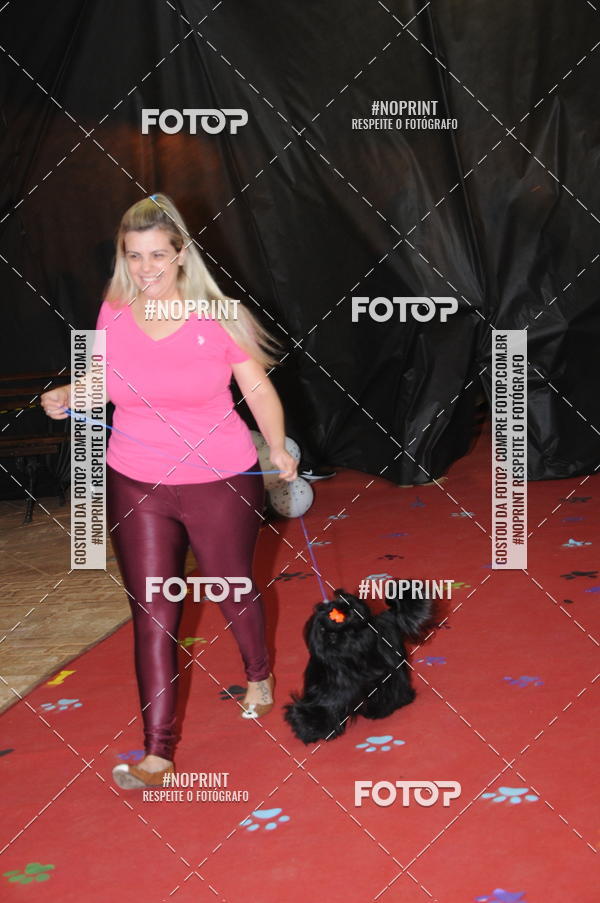 Buy your photos of the eventCo Curso Desfile de Ces on Fotop