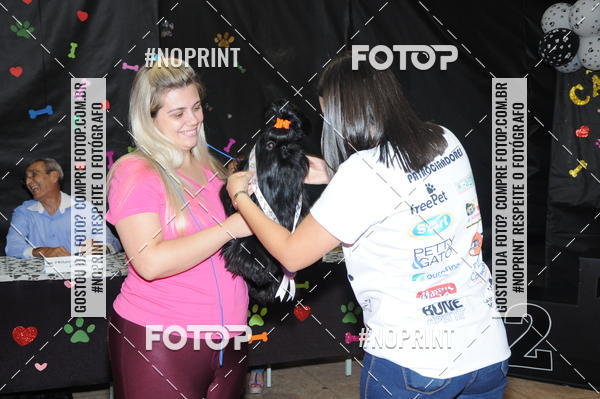 Buy your photos of the eventCo Curso Desfile de Ces on Fotop