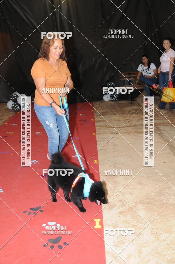 Buy your photos of the eventCo Curso Desfile de Ces on Fotop