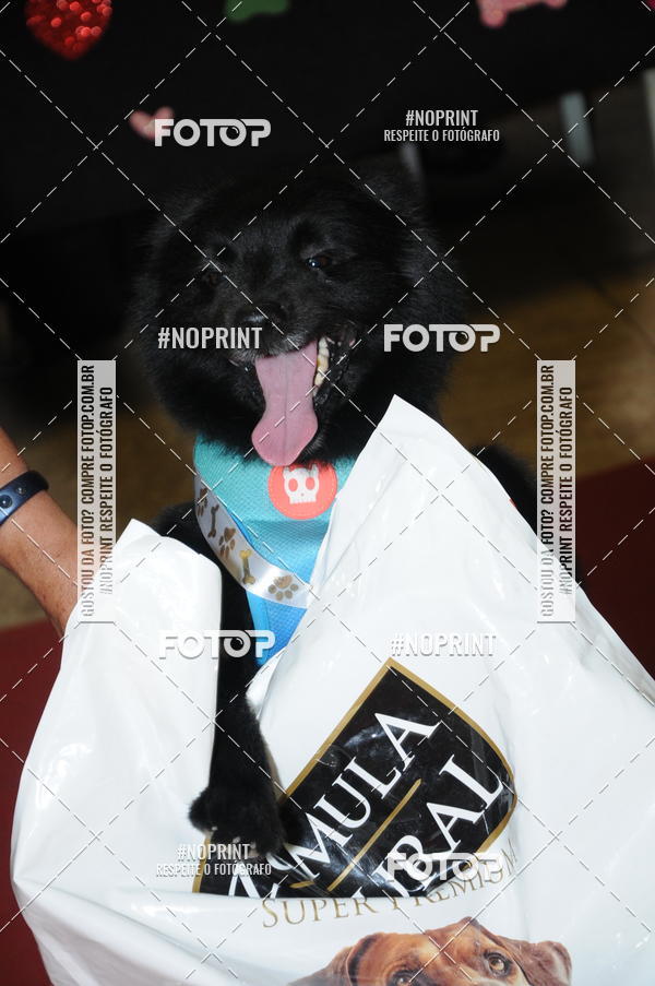 Buy your photos of the eventCo Curso Desfile de Ces on Fotop