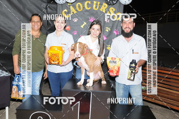 Buy your photos of the eventCo Curso Desfile de Ces on Fotop