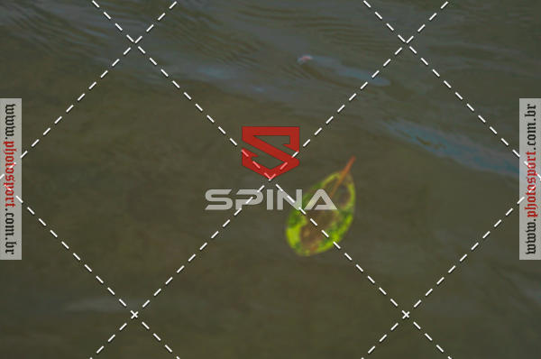 Compre suas fotos do evento11 Circuito Netuno de Travessias - 5 etapa no Fotop