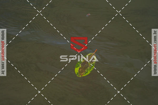 Compre suas fotos do evento11 Circuito Netuno de Travessias - 5 etapa no Fotop