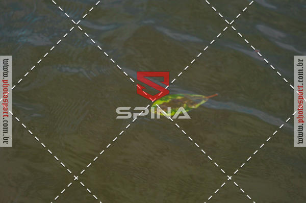 Compre suas fotos do evento11 Circuito Netuno de Travessias - 5 etapa no Fotop