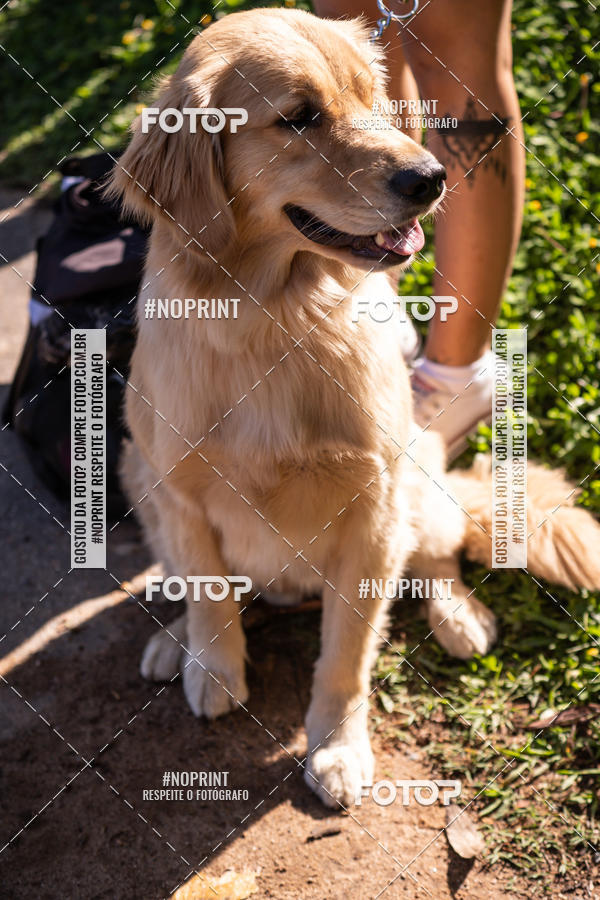 Achetez vos photos de l'vnementWODNATION - ETAPA VINHEDO sur Fotop