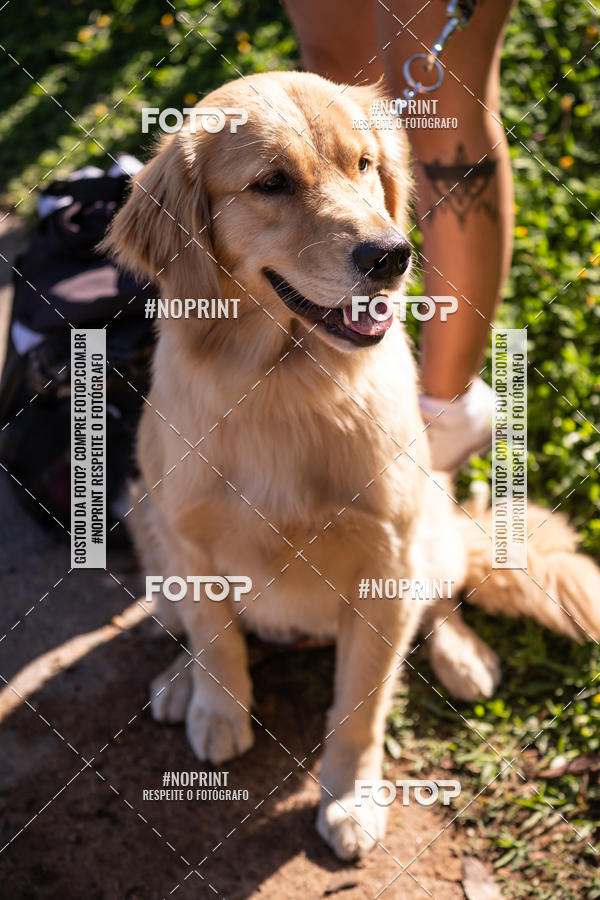 Achetez vos photos de l'vnementWODNATION - ETAPA VINHEDO sur Fotop