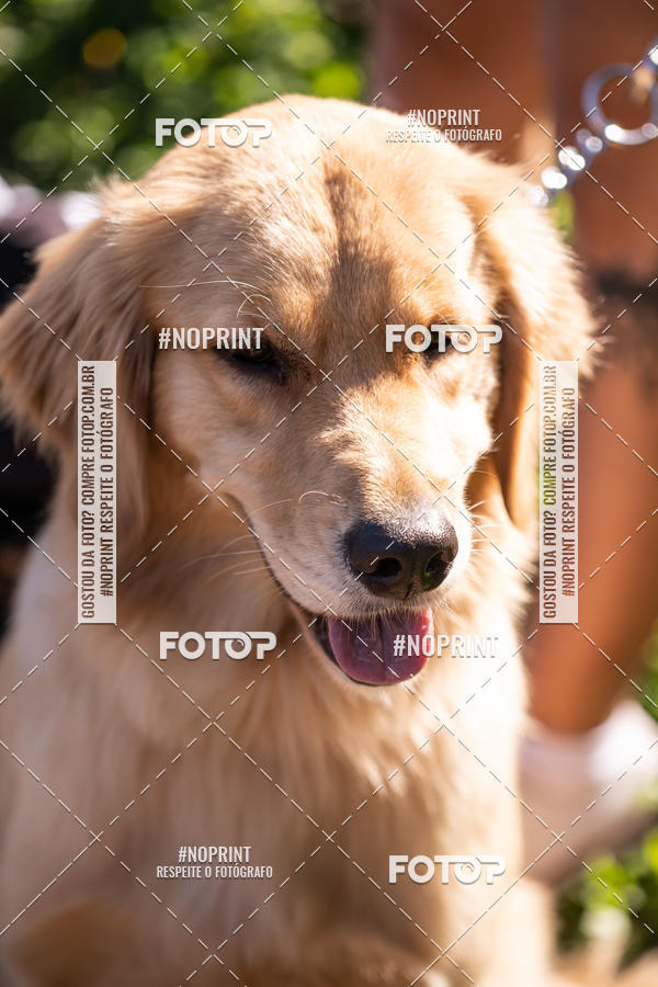 Achetez vos photos de l'vnementWODNATION - ETAPA VINHEDO sur Fotop