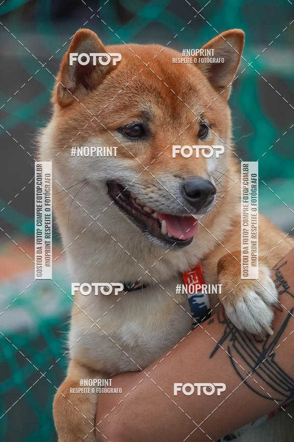 Compra tus fotos del eventoI TEAM BETO CUP 2019 - ETAPA SION | FUTVOLEI  En Fotop