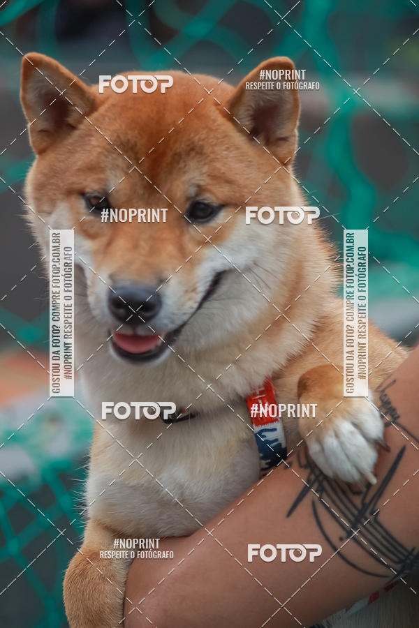 Compra tus fotos del eventoI TEAM BETO CUP 2019 - ETAPA SION | FUTVOLEI  En Fotop