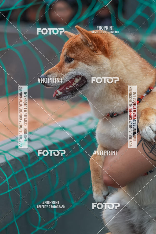 Compra tus fotos del eventoI TEAM BETO CUP 2019 - ETAPA SION | FUTVOLEI  En Fotop