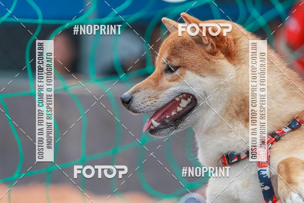 Compra tus fotos del eventoI TEAM BETO CUP 2019 - ETAPA SION | FUTVOLEI  En Fotop