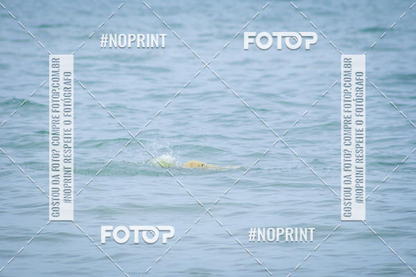 Buy your photos of the event Treino Swimrun Brasil. - SRB on Fotop