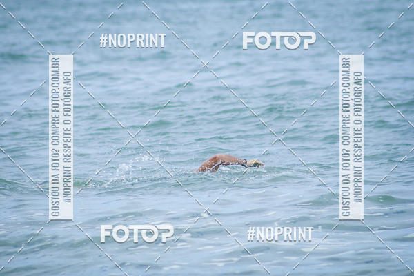 Buy your photos of the event Treino Swimrun Brasil. - SRB on Fotop