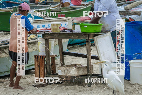 Buy your photos of the event Treino Swimrun Brasil. - SRB on Fotop