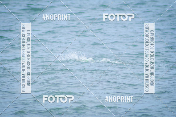 Buy your photos of the event Treino Swimrun Brasil. - SRB on Fotop