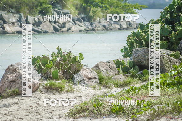 Buy your photos of the event Treino Swimrun Brasil. - SRB on Fotop