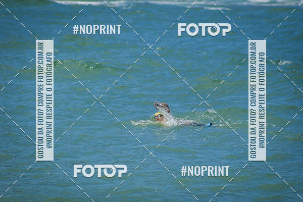 Buy your photos of the event Treino Swimrun Brasil. - SRB on Fotop