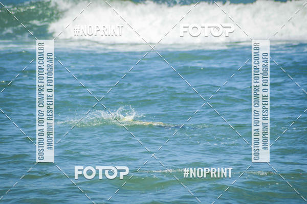 Buy your photos of the event Treino Swimrun Brasil. - SRB on Fotop