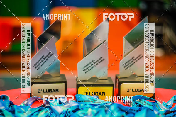 Buy your photos of the eventCAMPEONATO MINEIRO BASQUETE SOBRE RODAS 2019 on Fotop