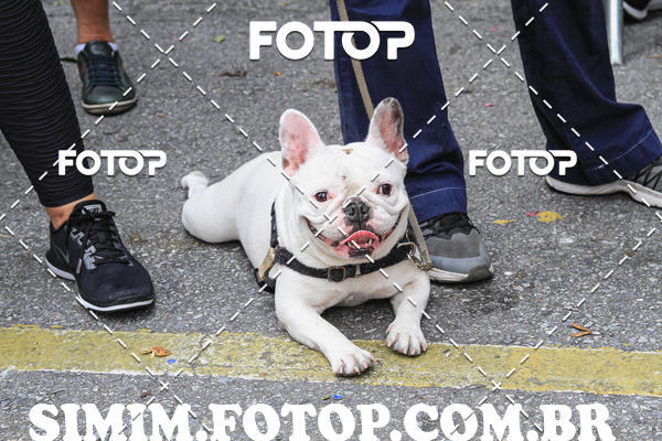 Buy your photos of the eventCORRIDA DO COL�GIO SANTO AGOSTINHO BH on Fotop