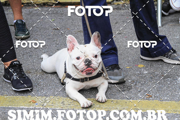 Buy your photos of the eventCORRIDA DO COL�GIO SANTO AGOSTINHO BH on Fotop