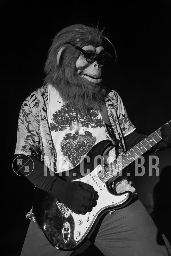 Buy your photos of the eventNR Fun - Resort Sto A. do Pinhal 16 a 20/11/19 on Fotop