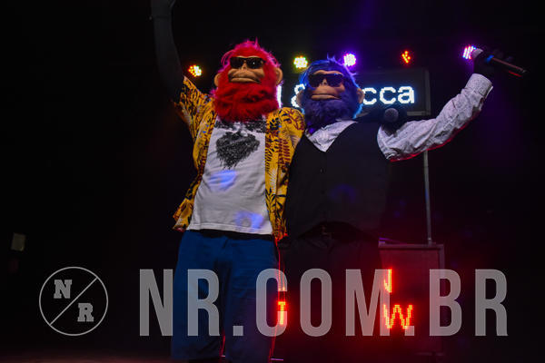 Buy your photos of the eventNR Fun - Resort Sto A. do Pinhal 16 a 20/11/19 on Fotop