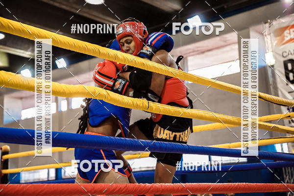 Buy your photos of the eventCAMPEONATO BRASILEIRO DE MUAY THAI 2019  CBMTBT on Fotop