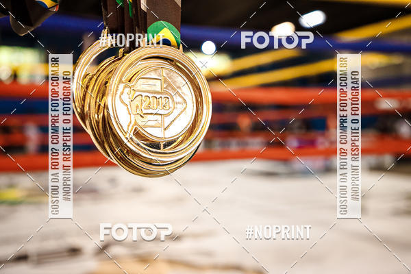 Achetez vos photos de l'vnementCAMPEONATO BRASILEIRO DE MUAY THAI 2019  CBMTBT sur Fotop