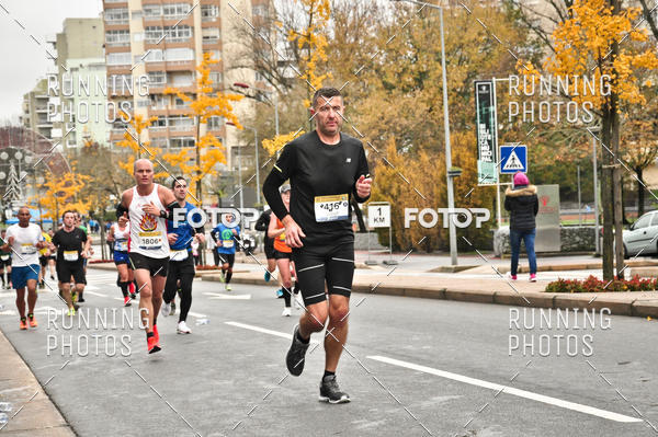 Buy your photos of the eventMeia Maratona Famalic�o 2019 on Fotop