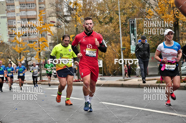 Buy your photos of the eventMeia Maratona Famalic�o 2019 on Fotop