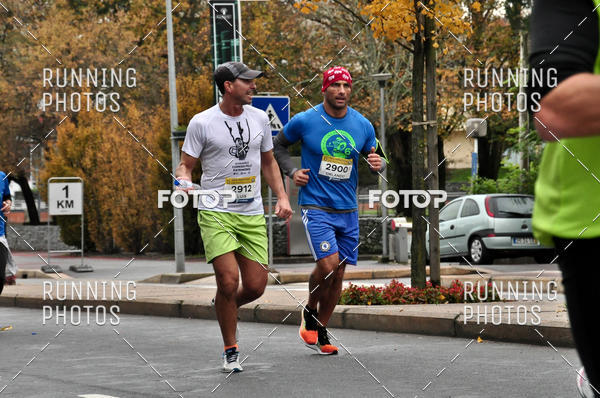 Buy your photos of the eventMeia Maratona Famalic�o 2019 on Fotop